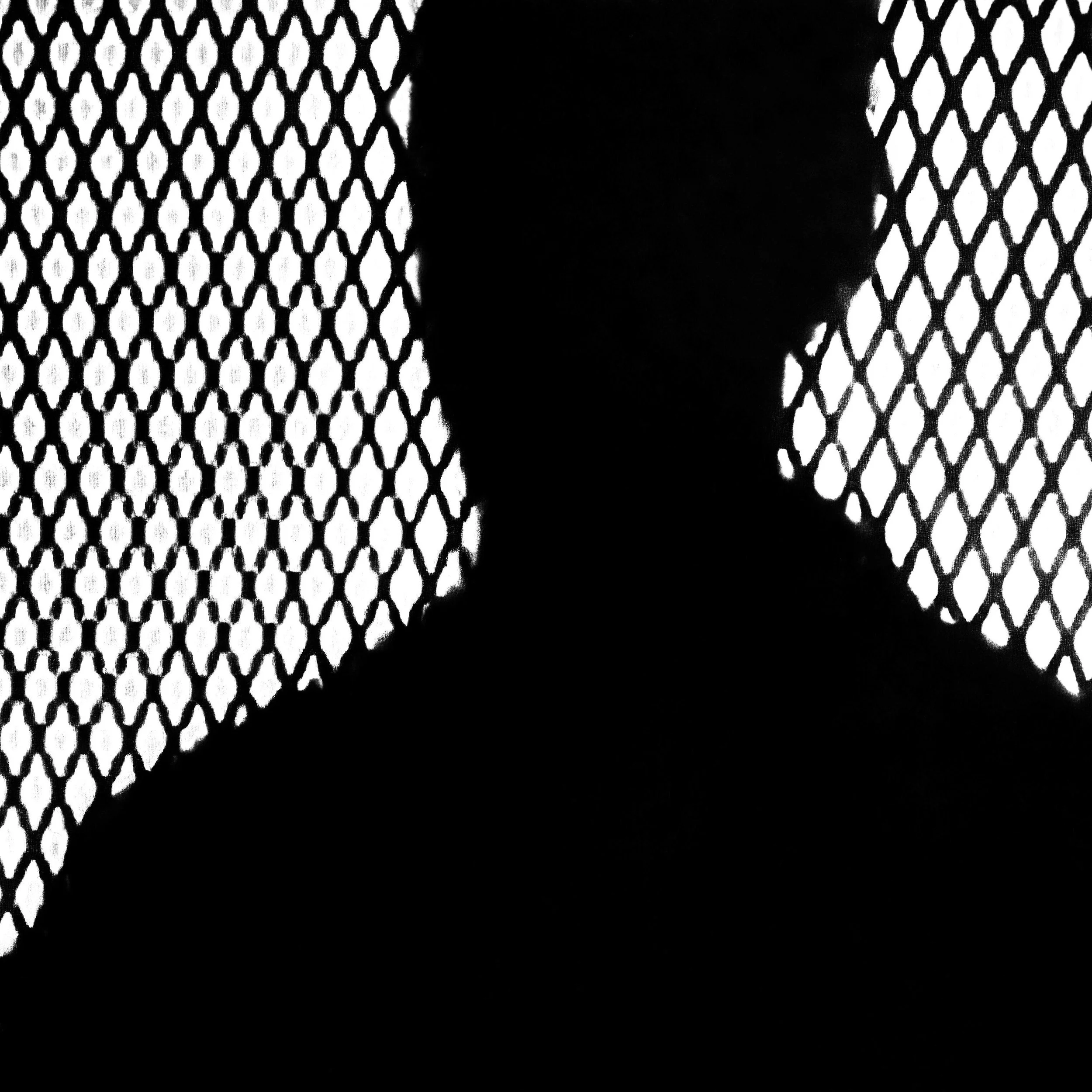 DYE_2091 crop.jpg