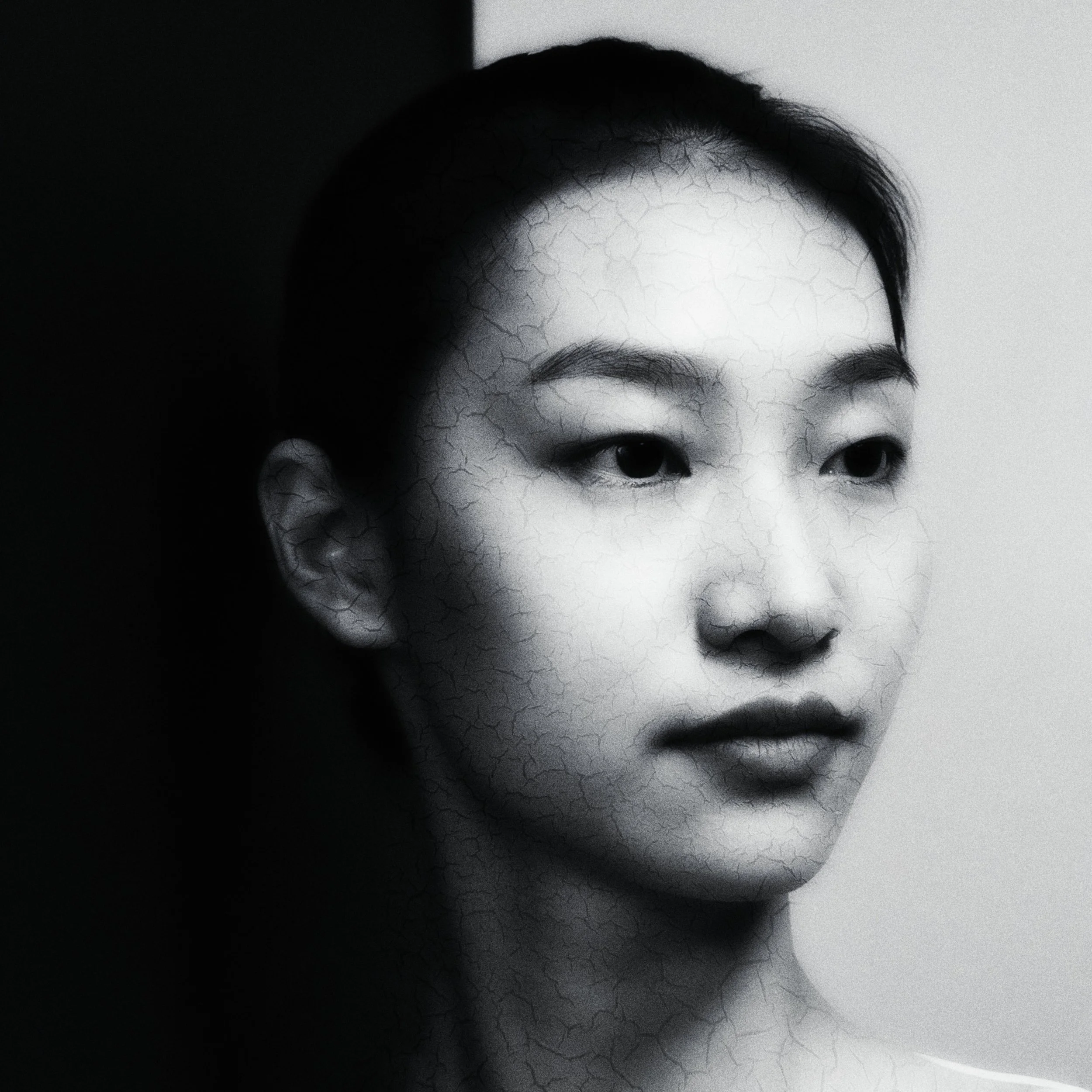 z-image_00514 lay 1.jpg