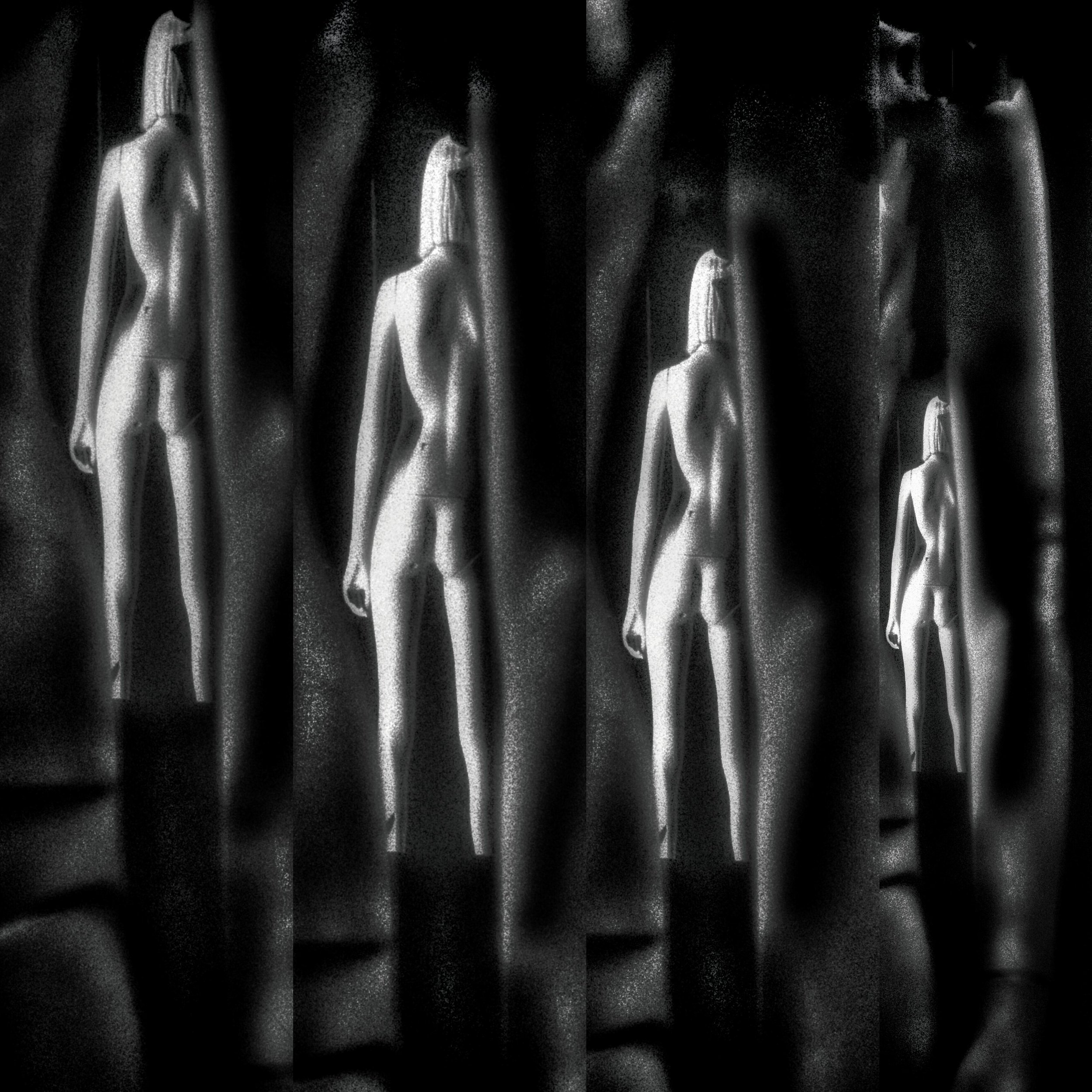 DYE_9384  hdr crop.jpg