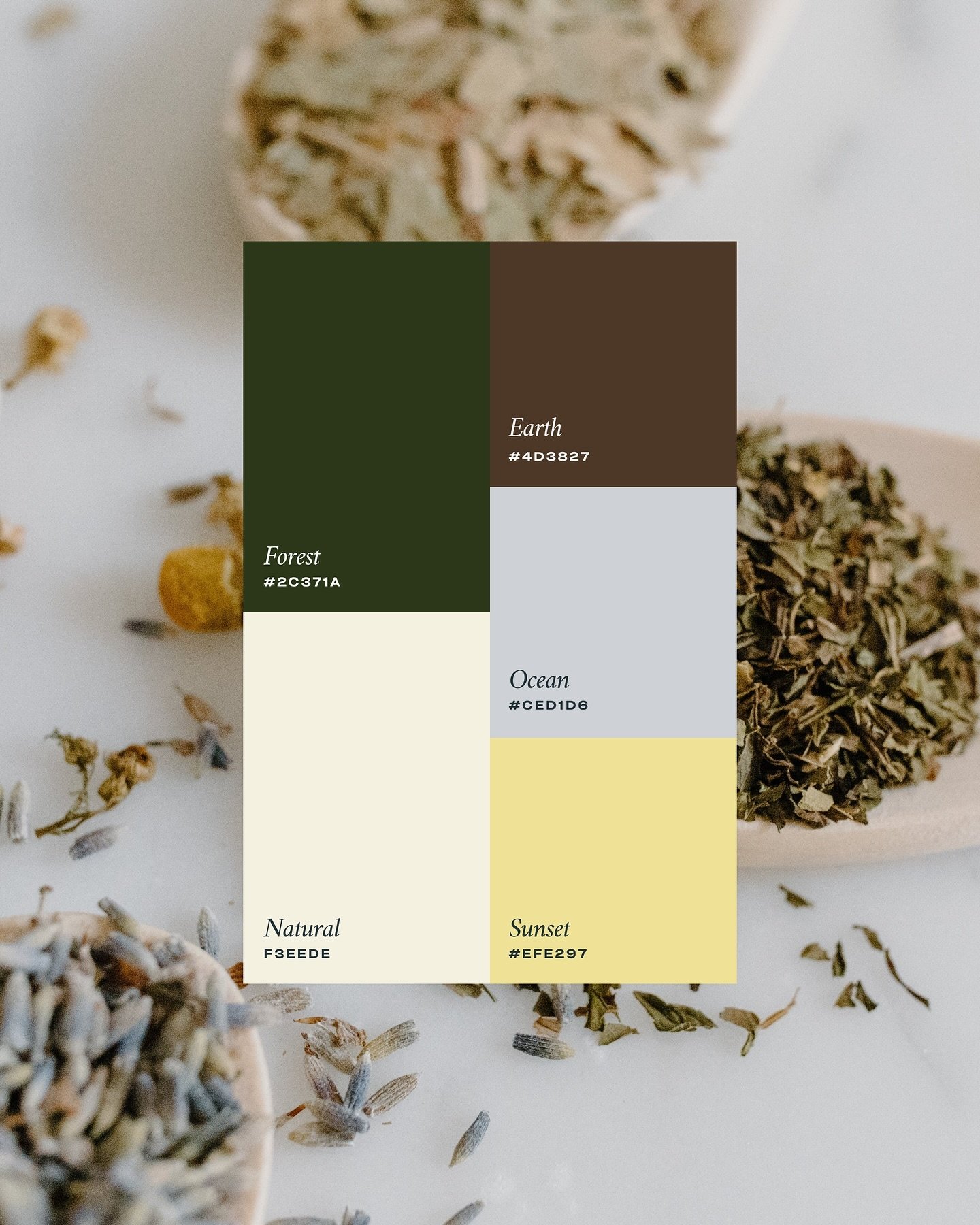 Recent colour palette inspired by earthy, neutral tones with a pop of yellow for a bit of fun! 🎨 
.
.
.
.
.
.
#colourpalette #branddesigner #branding #brandpalette #margaretriverbusiness #margaretriverlife #margaretriverregion #denmarkwa #denmarkwes