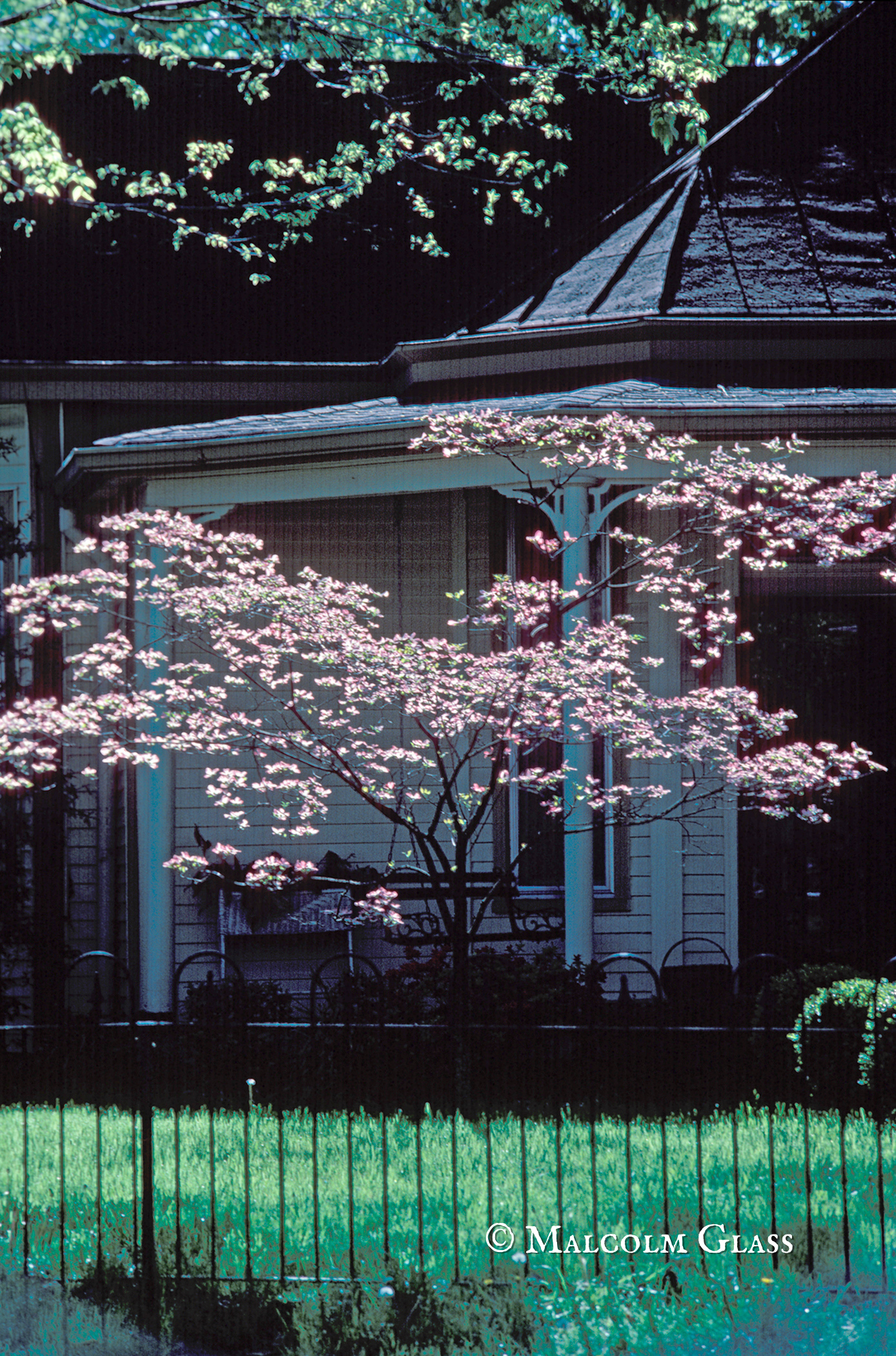 Louisville Spring