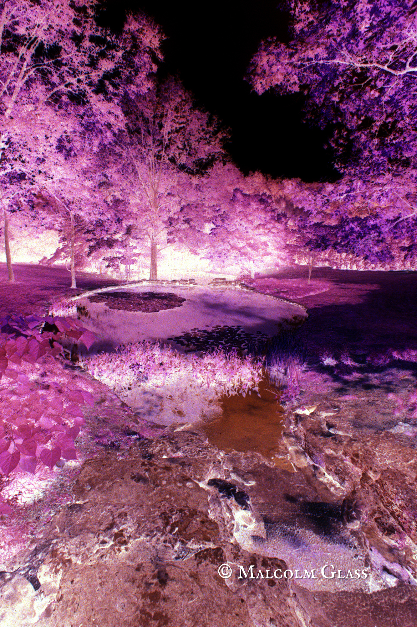 Infrared Ponds