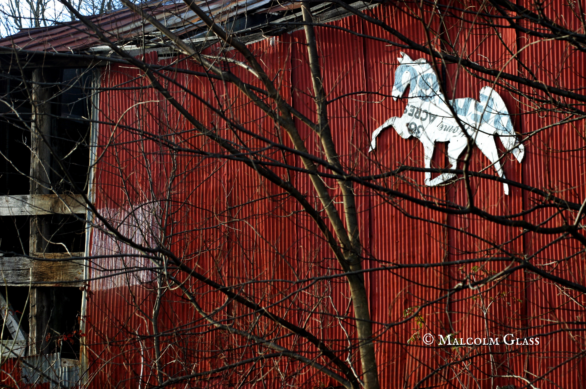 Horse Barn