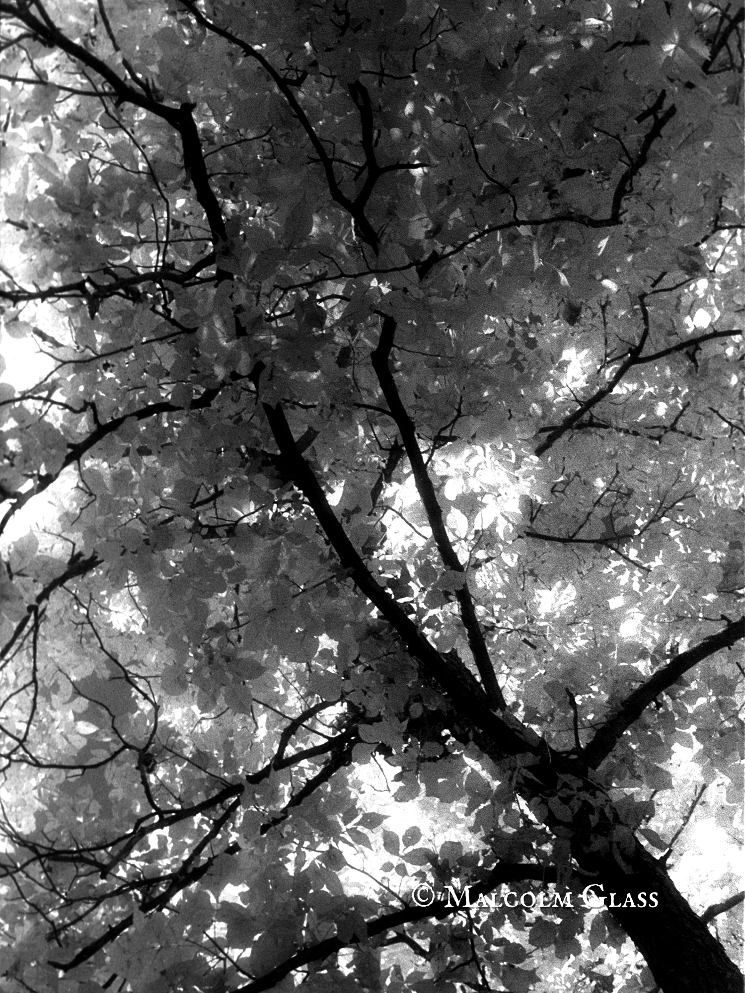Heat of Inner Light