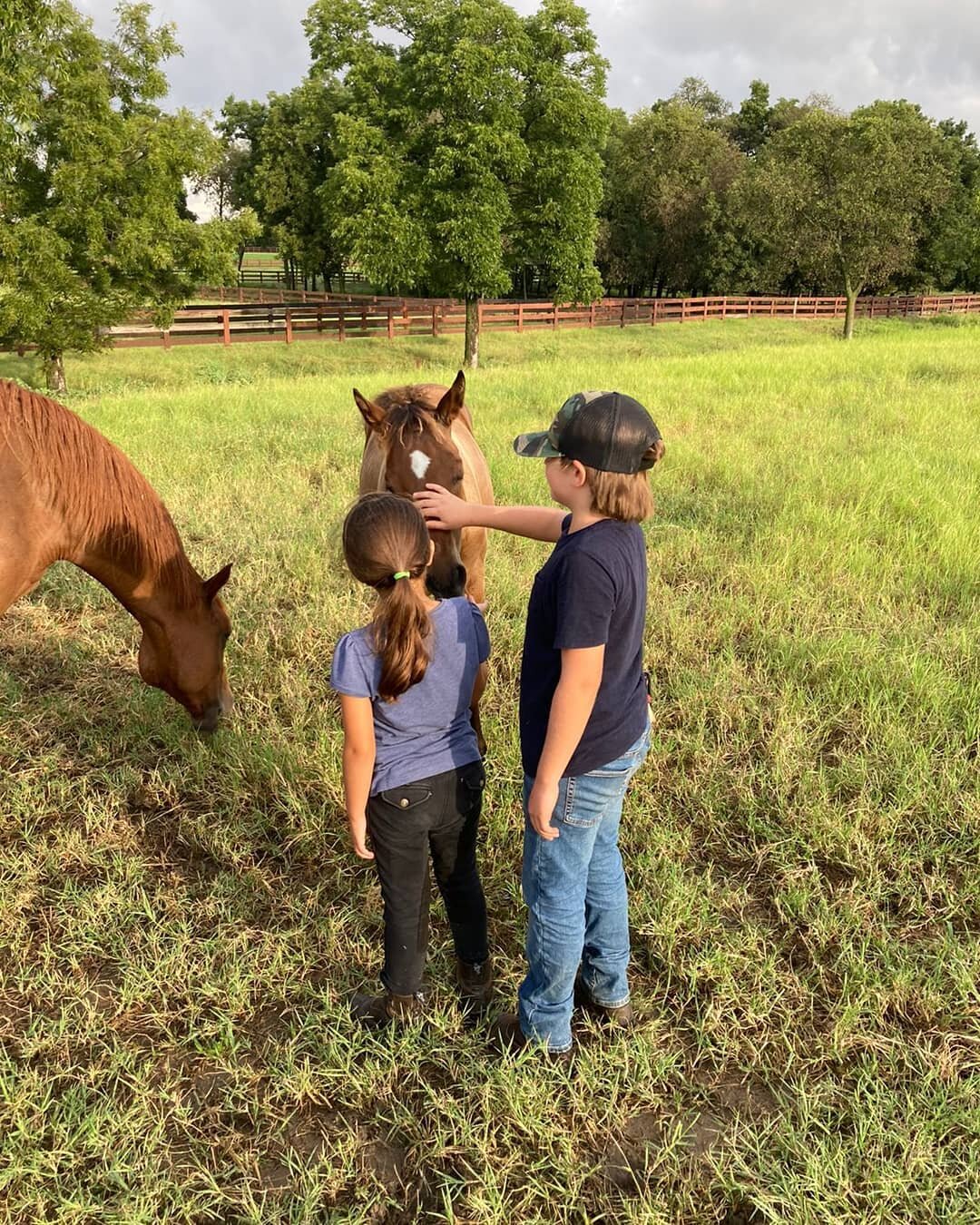 Kids and foals 🦄

#kidspolo #polokids #horse #foal #foals #poloponies #polopony #poloday #poloexperience #pololove #dallaslife #friscolife #fortworthlife #littleelm #denton #equestrianlife #thisislife #poloacademy #polostar #yolo