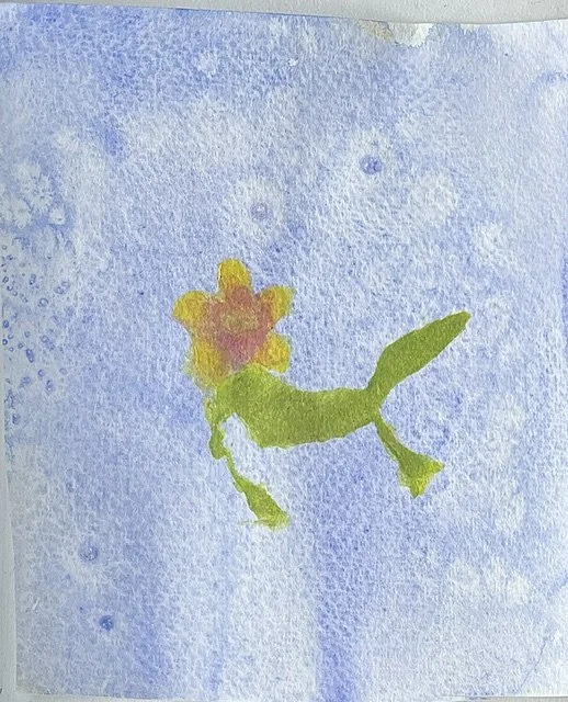 Doodles and Photos and Experiments