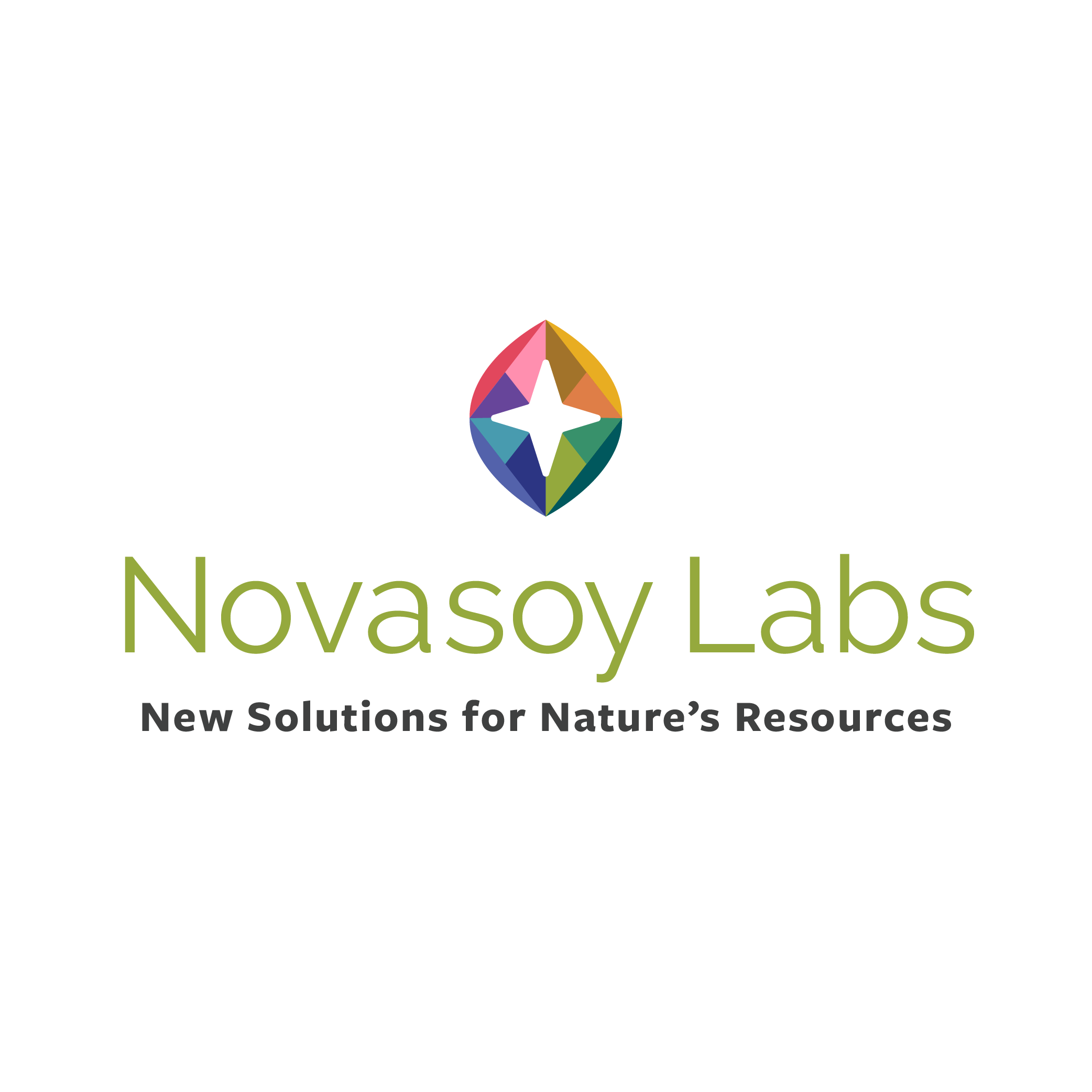 Logos_2026_Novasoy.png