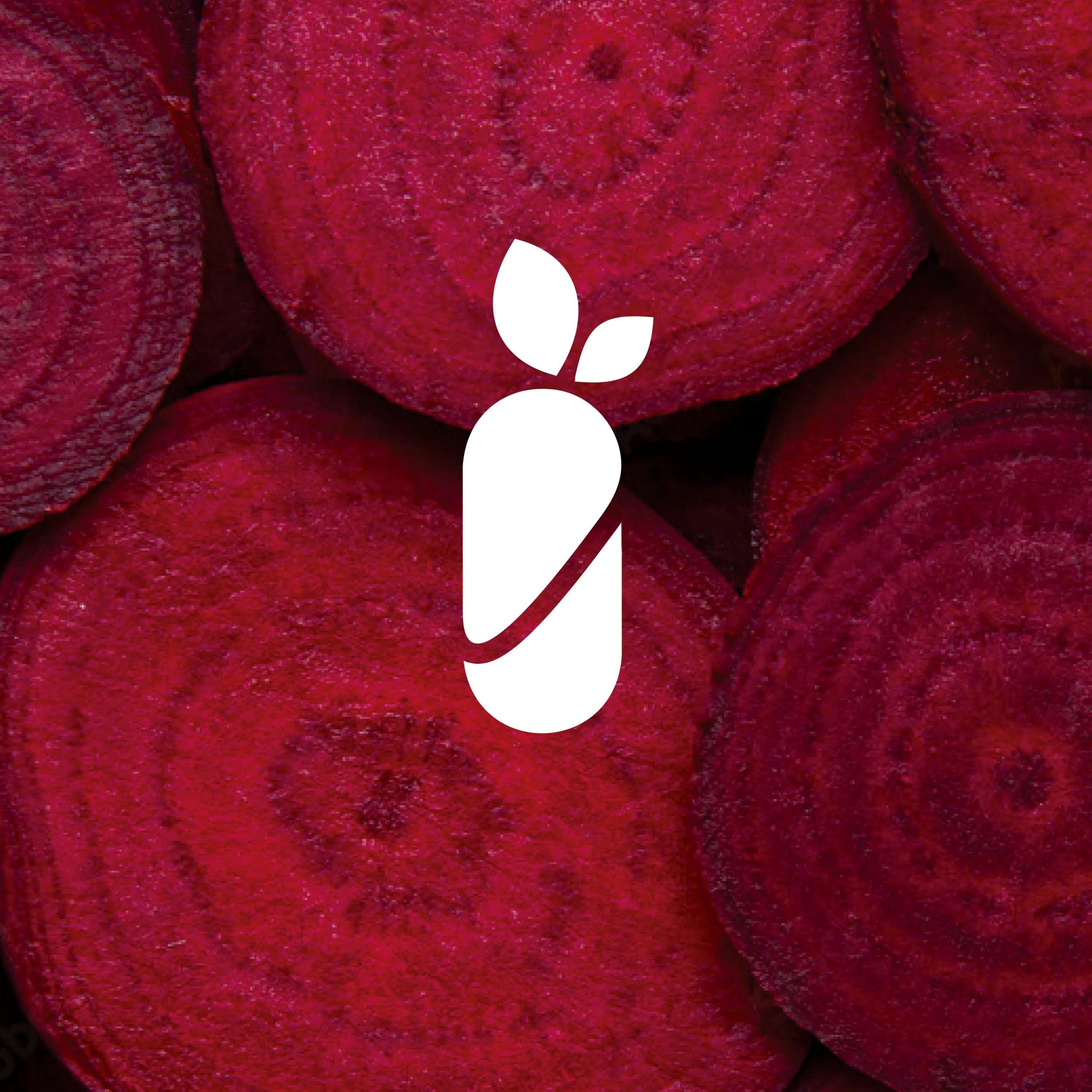 Ohio Association of Foodbanks Member Portal (Copy)