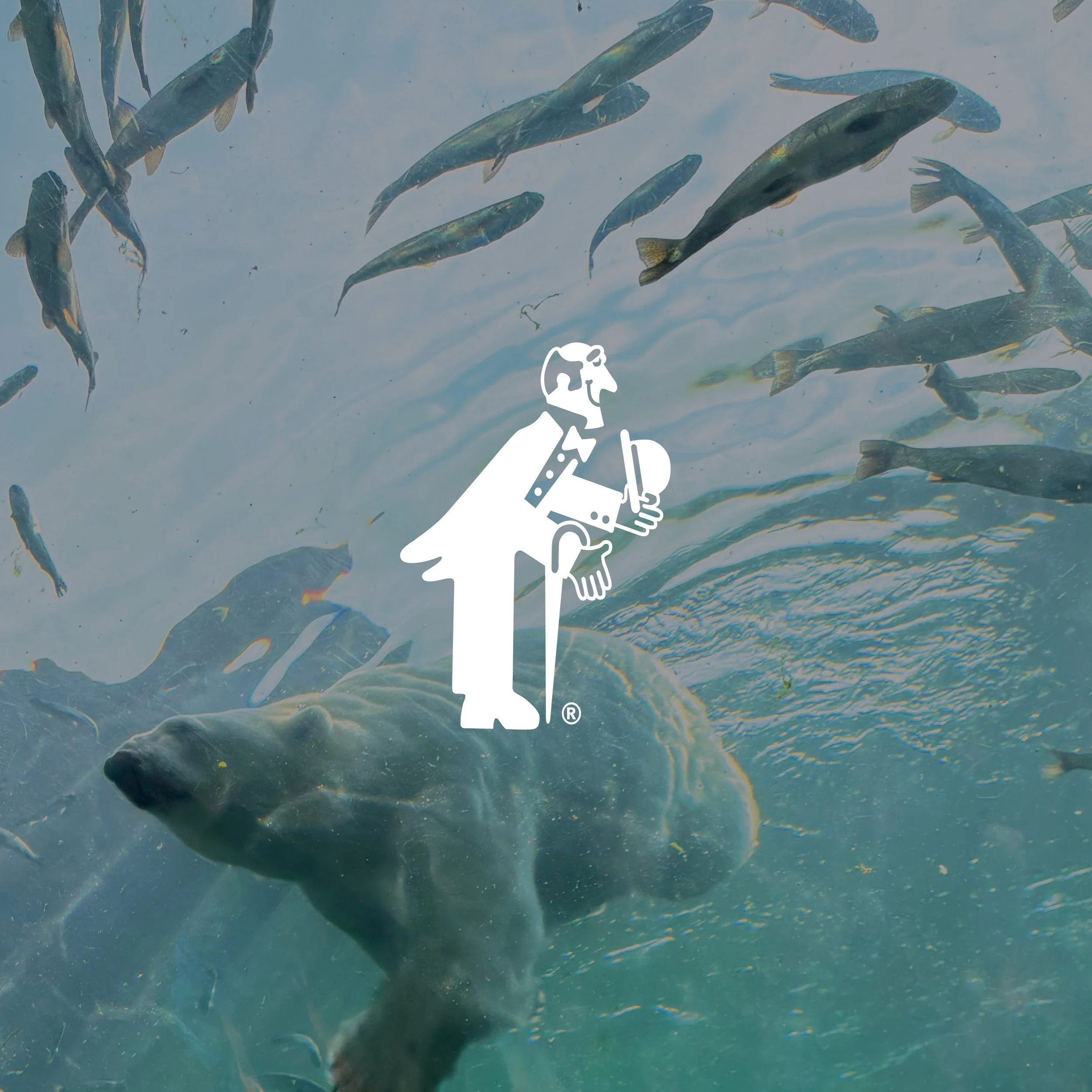 Atlas Butler + Columbus Zoo