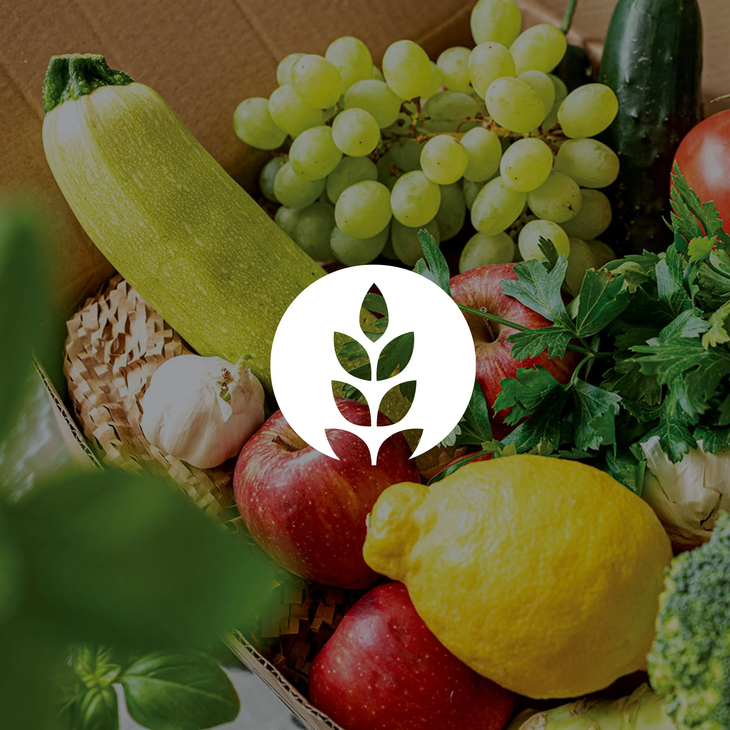 Ohio Association of Foodbanks Member Portal