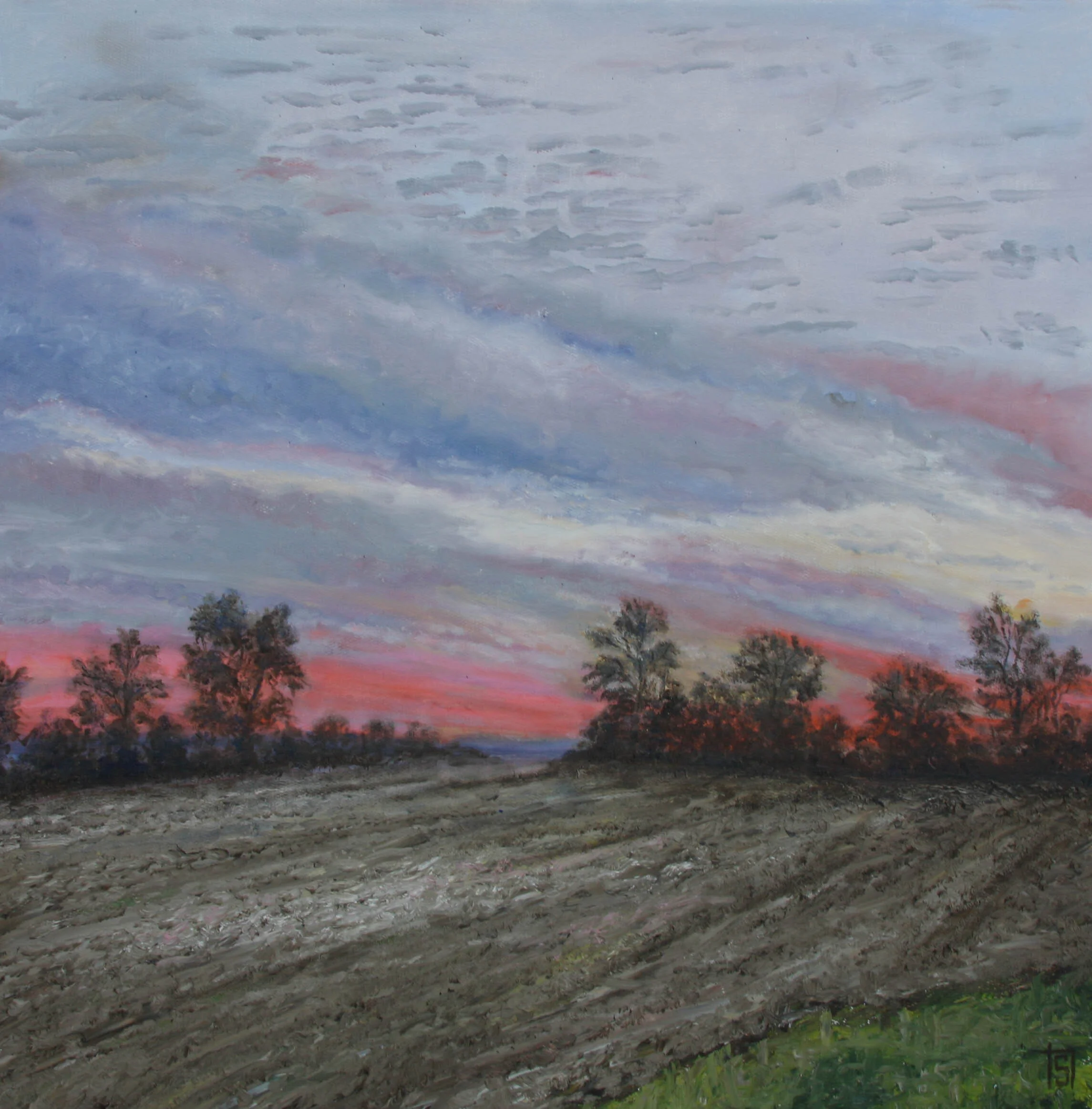 Winter Fields at Dusk 50x50 cms SOLD