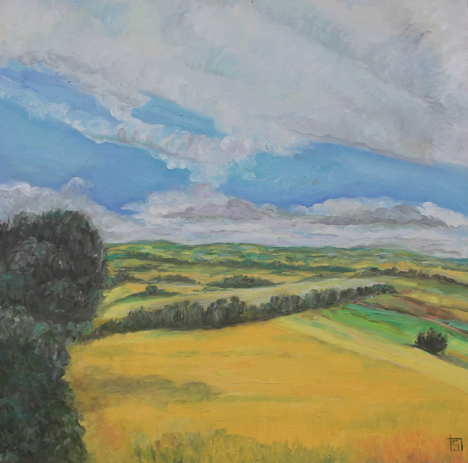 Summer Fields. 60x60cm