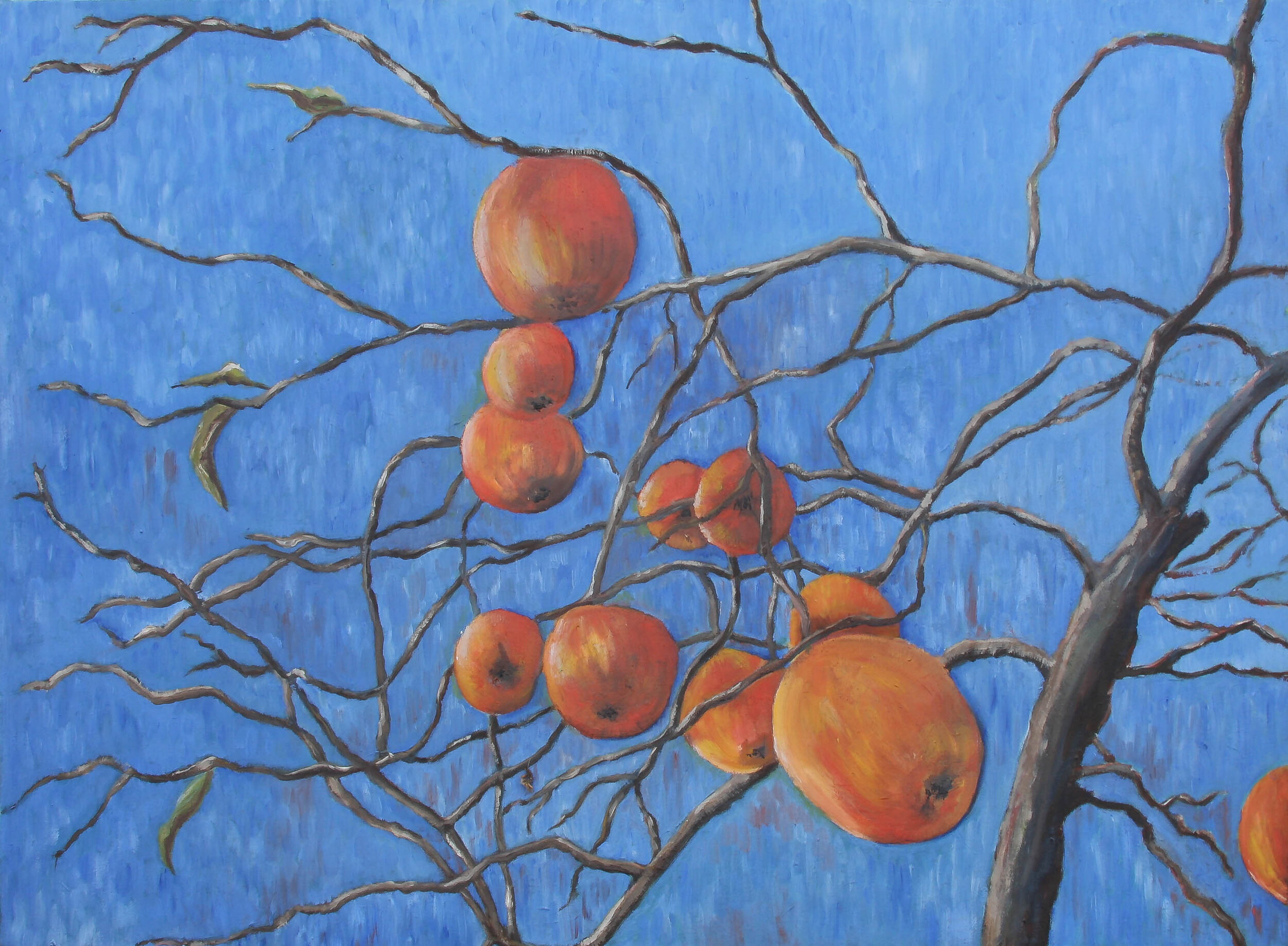 Winter Fruit 65x50cms