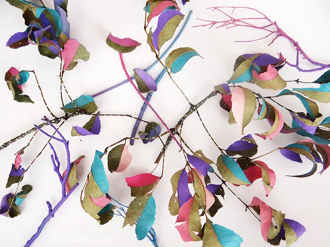 Aveces el Otoño Necesita más Color