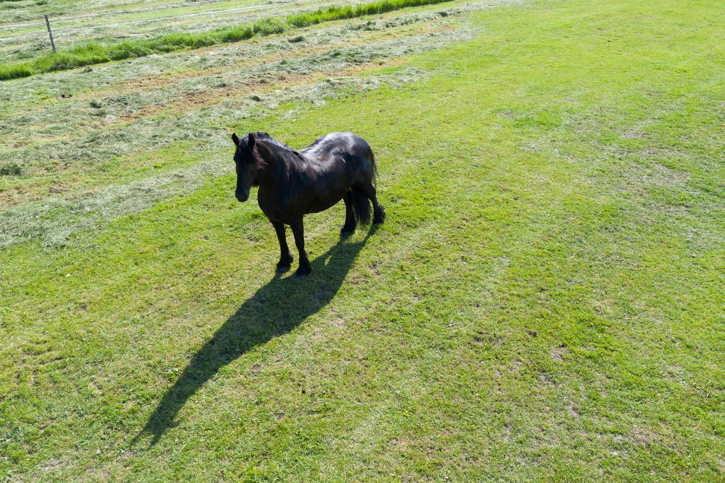 DJI_0875.jpg