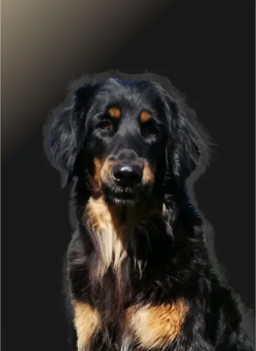 Portrait hell frontal klein.jpg