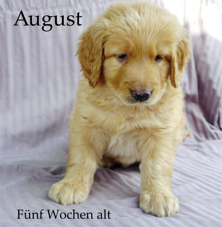 august.jpg