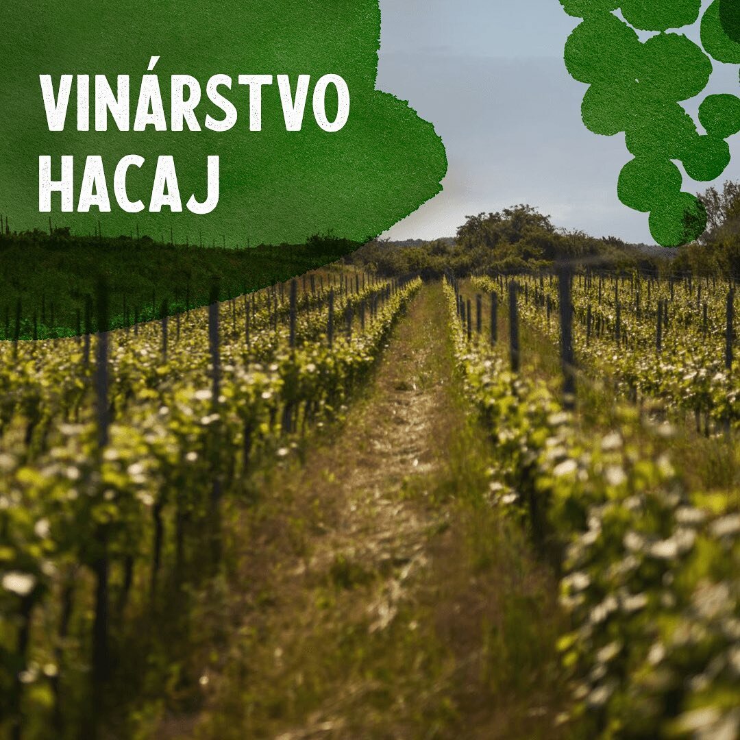 🥂Otvoren&eacute; viechy
Pr&iacute;ďte sa schladiť ku n&aacute;m do viechy aj s poh&aacute;rom sektu, už zajtra v piatok 15.7.! V tejto hor&uacute;čave nie je nič lep&scaron;ie 🥂.

Degust&aacute;cia s odborn&yacute;m v&yacute;kladom zač&iacute;na o 