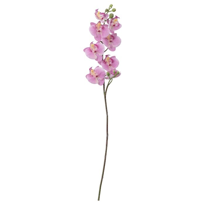 smycka-artificial-flower-orchid-pink__0636964_pe698125_s5.jpg