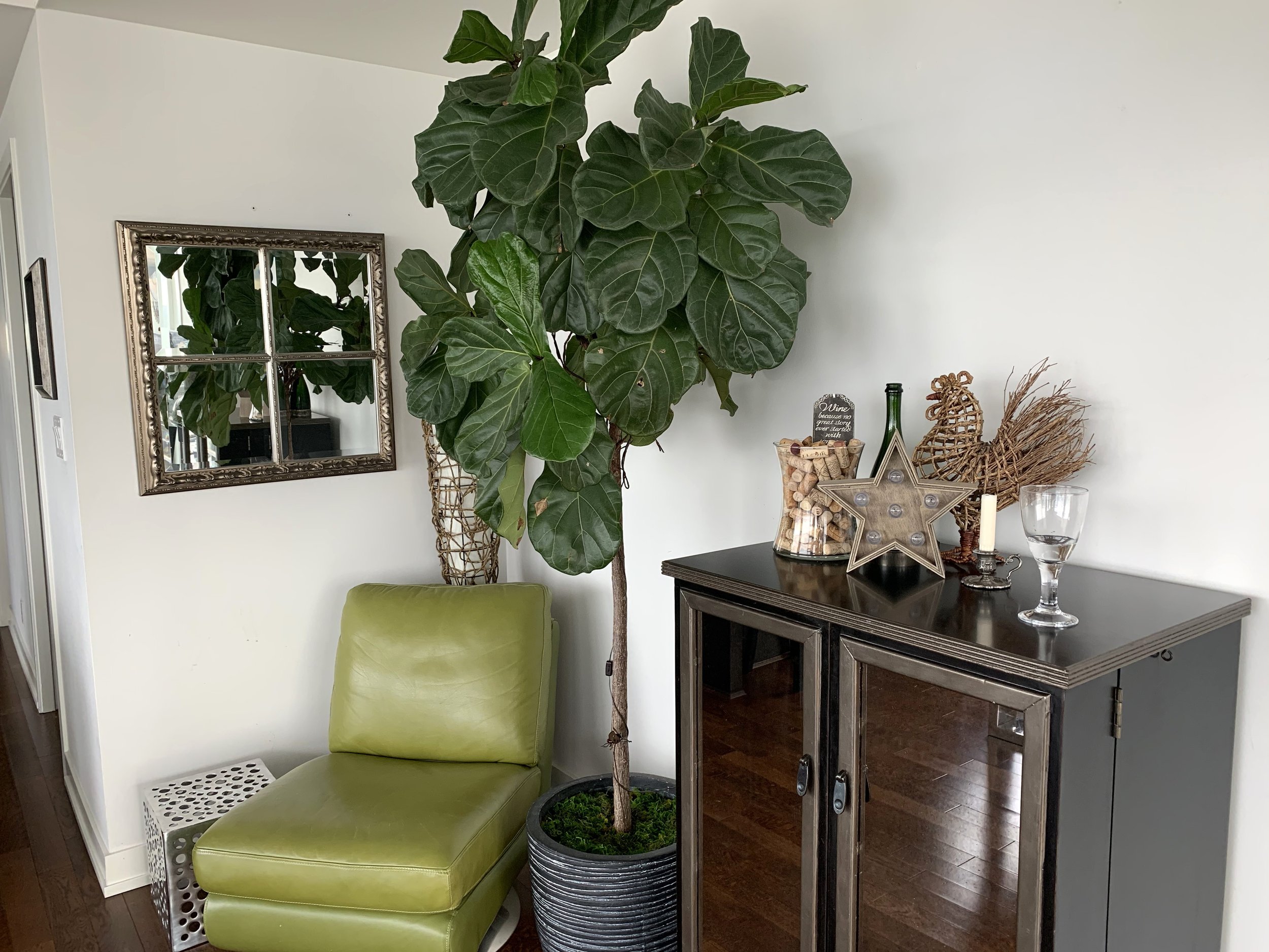 Dining Room Before