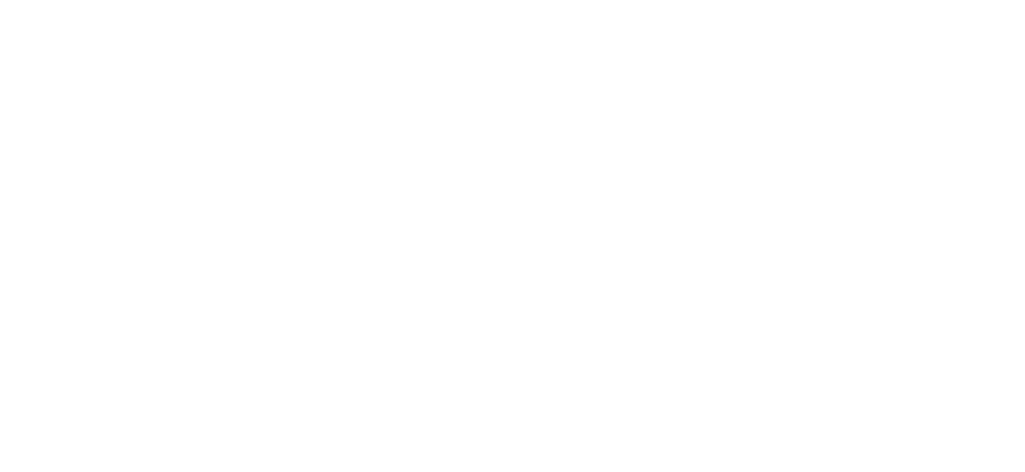 DiezArena_Logo_Weiss-01.png