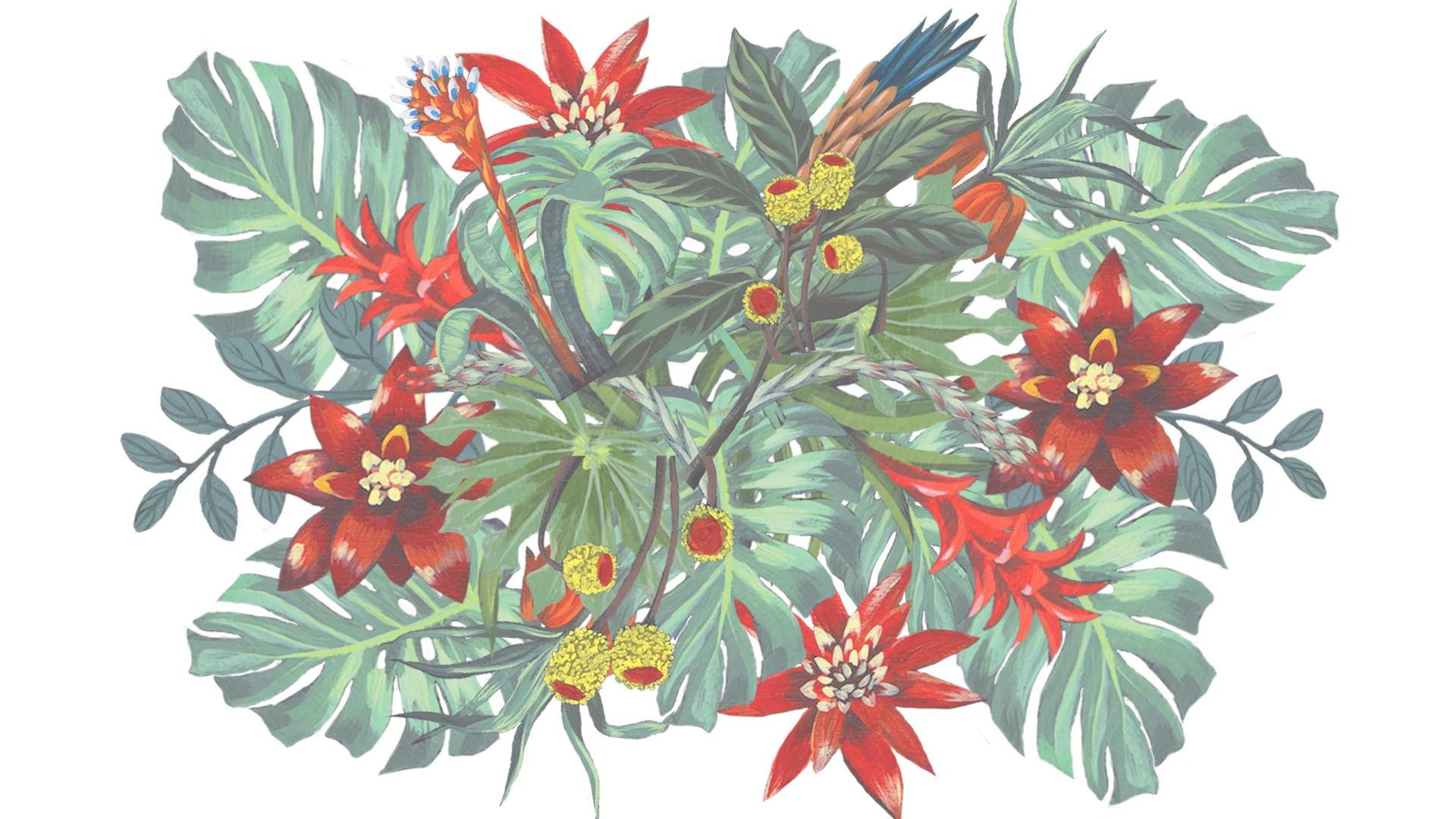 Anina-Web-FloralCollage.jpg
