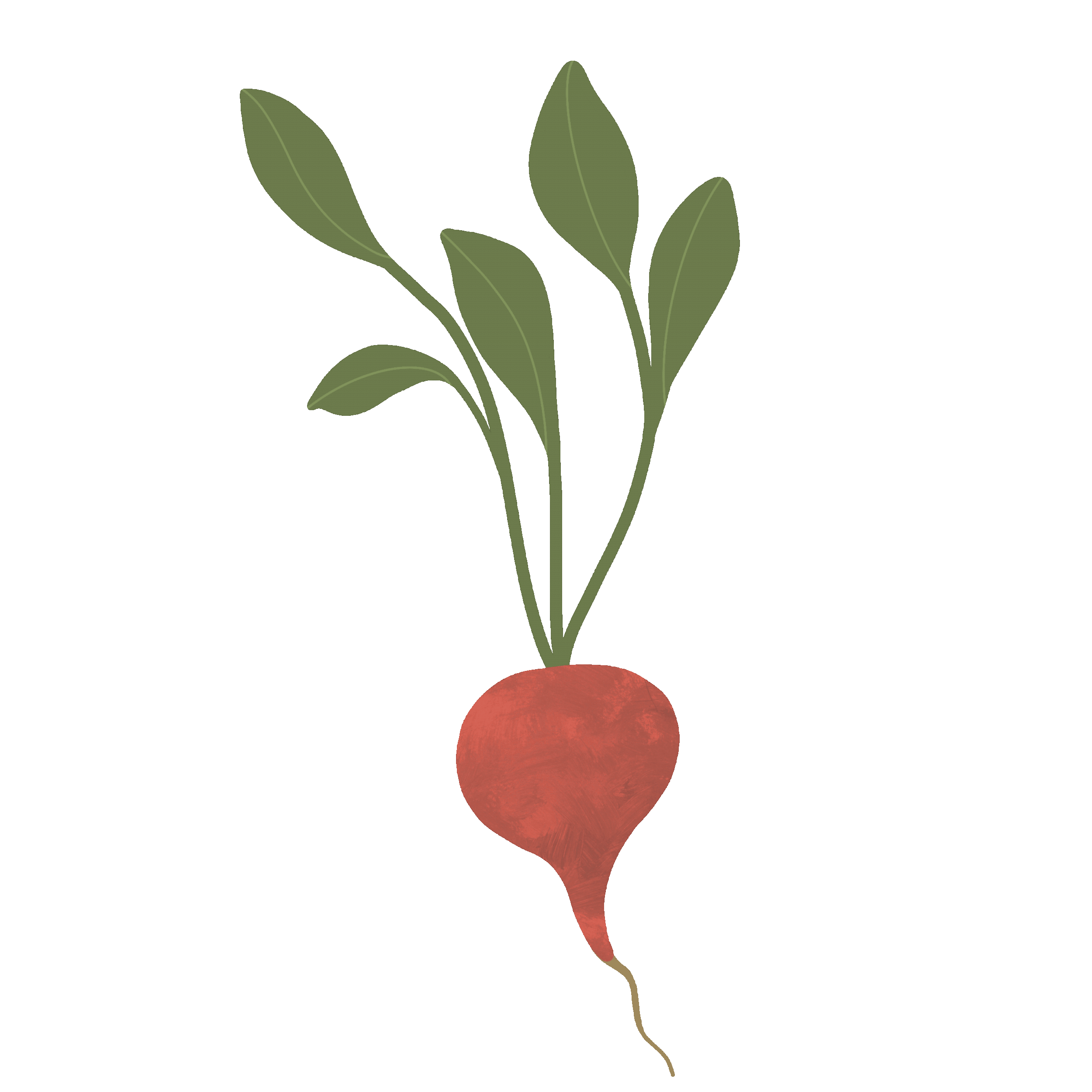 GIF_Radish.gif