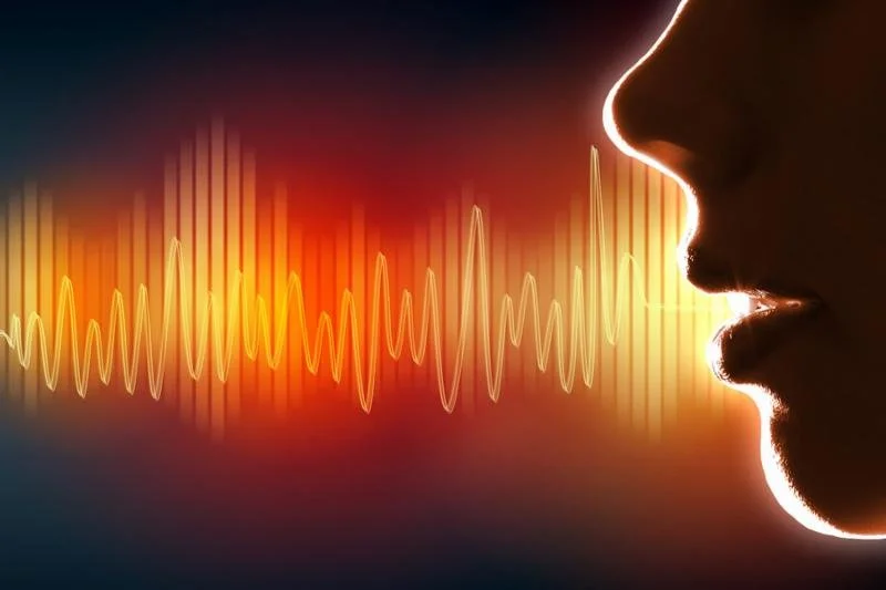 voice and character.jpg