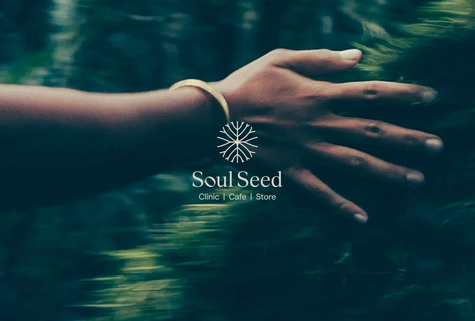 Soul Seed / Identity Design
