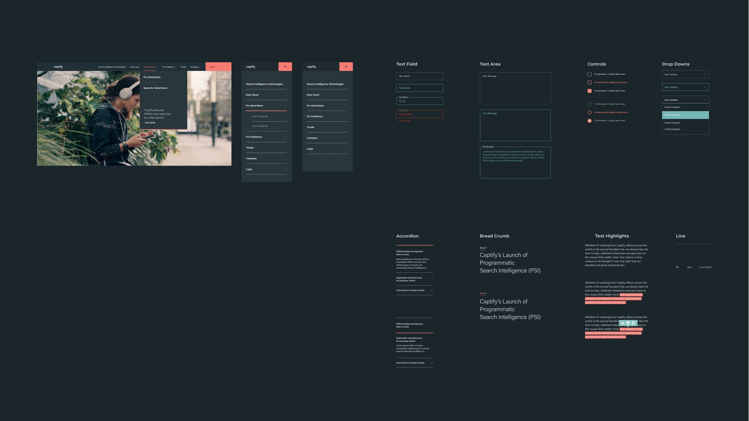 Captify_website__Design_system.png