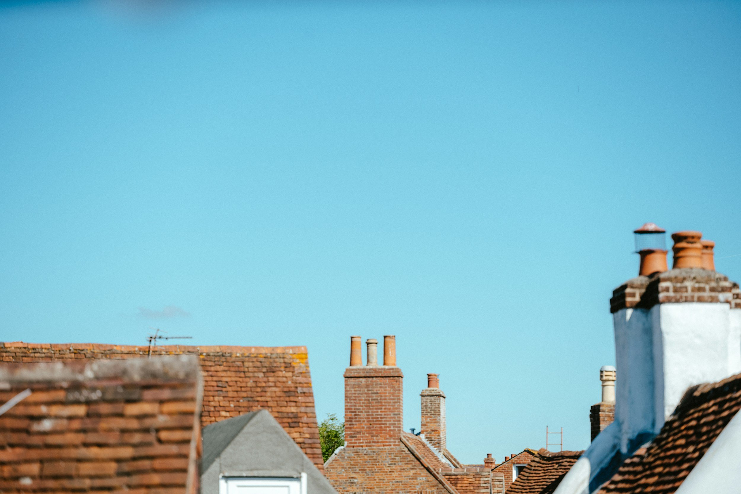 Branch to Branch by Robert Earle