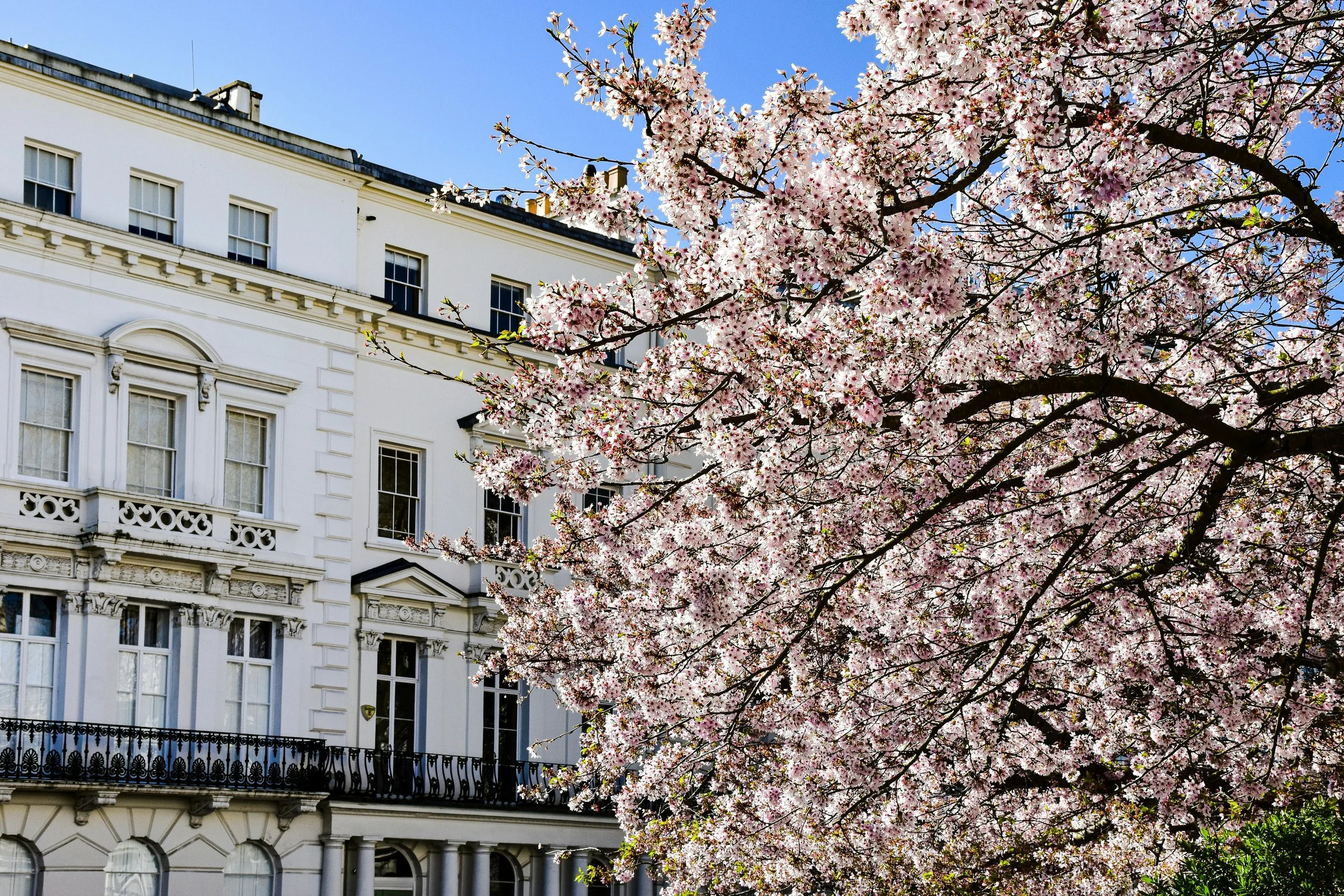 Operational Readiness: What Should Be in Place Before a Move-In