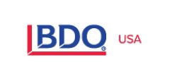 WOCE-Sponsors-250_0005_BDO-USA logo.jpg.jpg