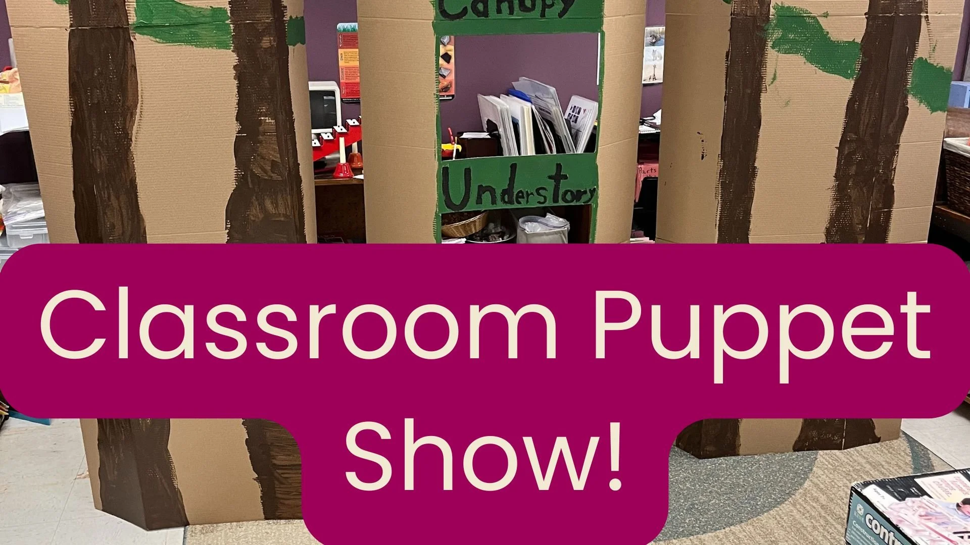How to make a class puppet show!
