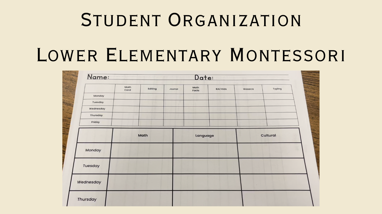 Student Organization in a Lower Elementary Montessori Classroom