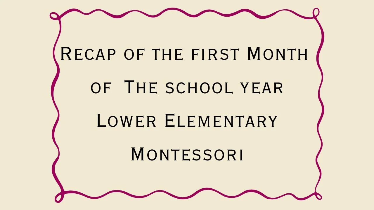 First Month of School Recap
