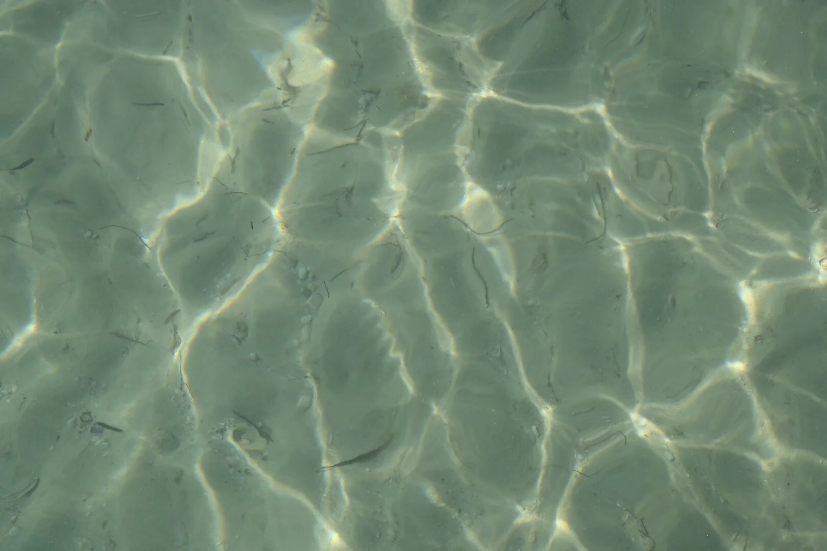 Water Image.JPG