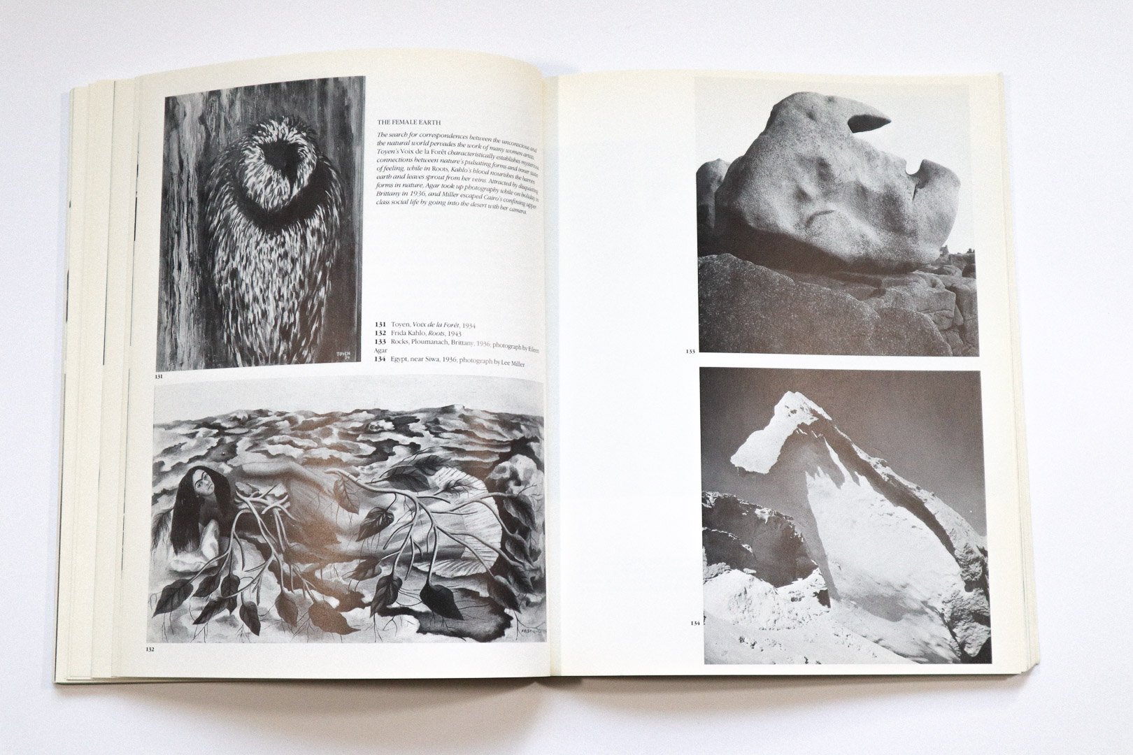 Vintage softcover copy of Women Artists and the Surrealist Movement by Whitney Chadwick. First published in paperback in the United States in 1991 by Thames and Hudson Inc. 256 pages.