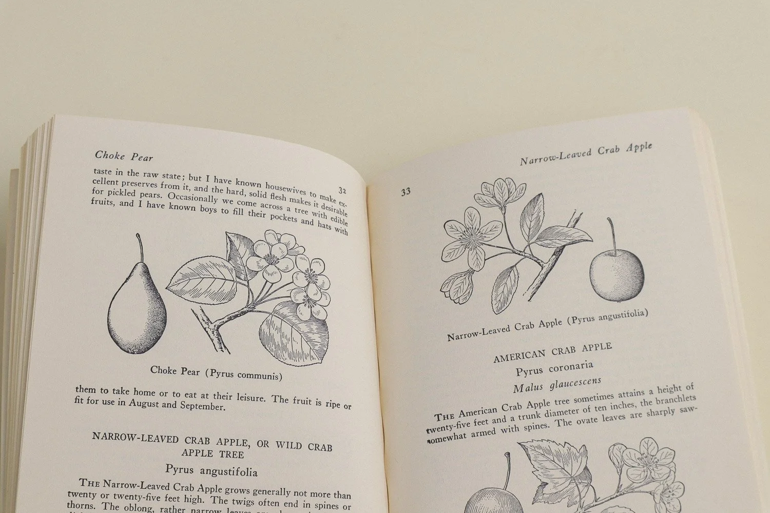 Vintage softcover copy of Edible Wild Plants by Oliver Perry Medsger. First published in 1939 by The Macmillan Company, this edition was published in 1972 by Collier Books.