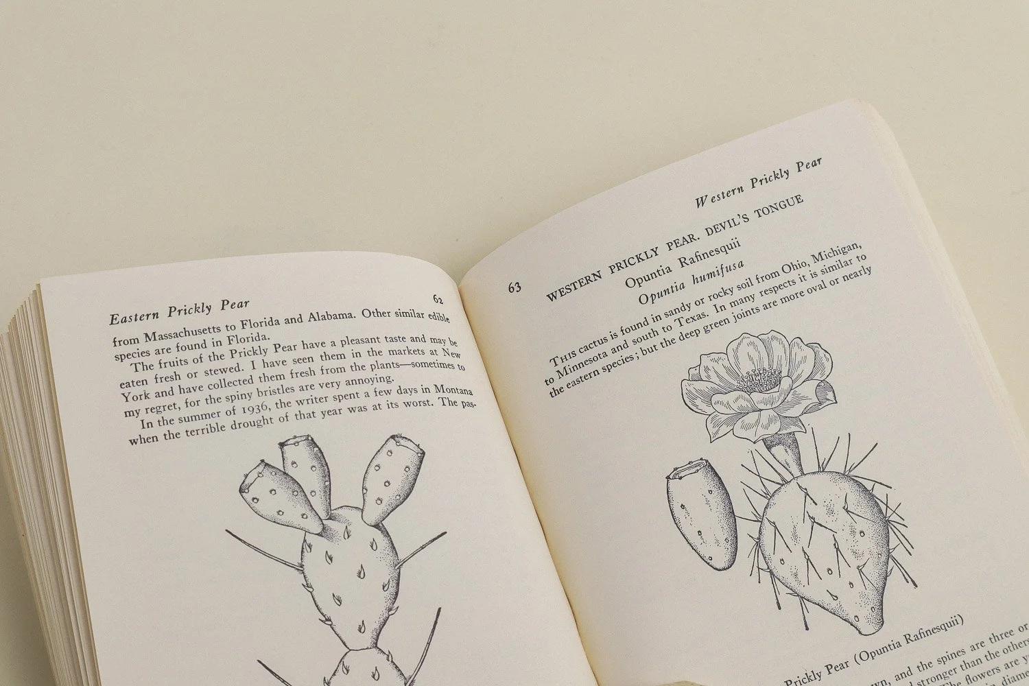Vintage softcover copy of Edible Wild Plants by Oliver Perry Medsger. First published in 1939 by The Macmillan Company, this edition was published in 1972 by Collier Books.