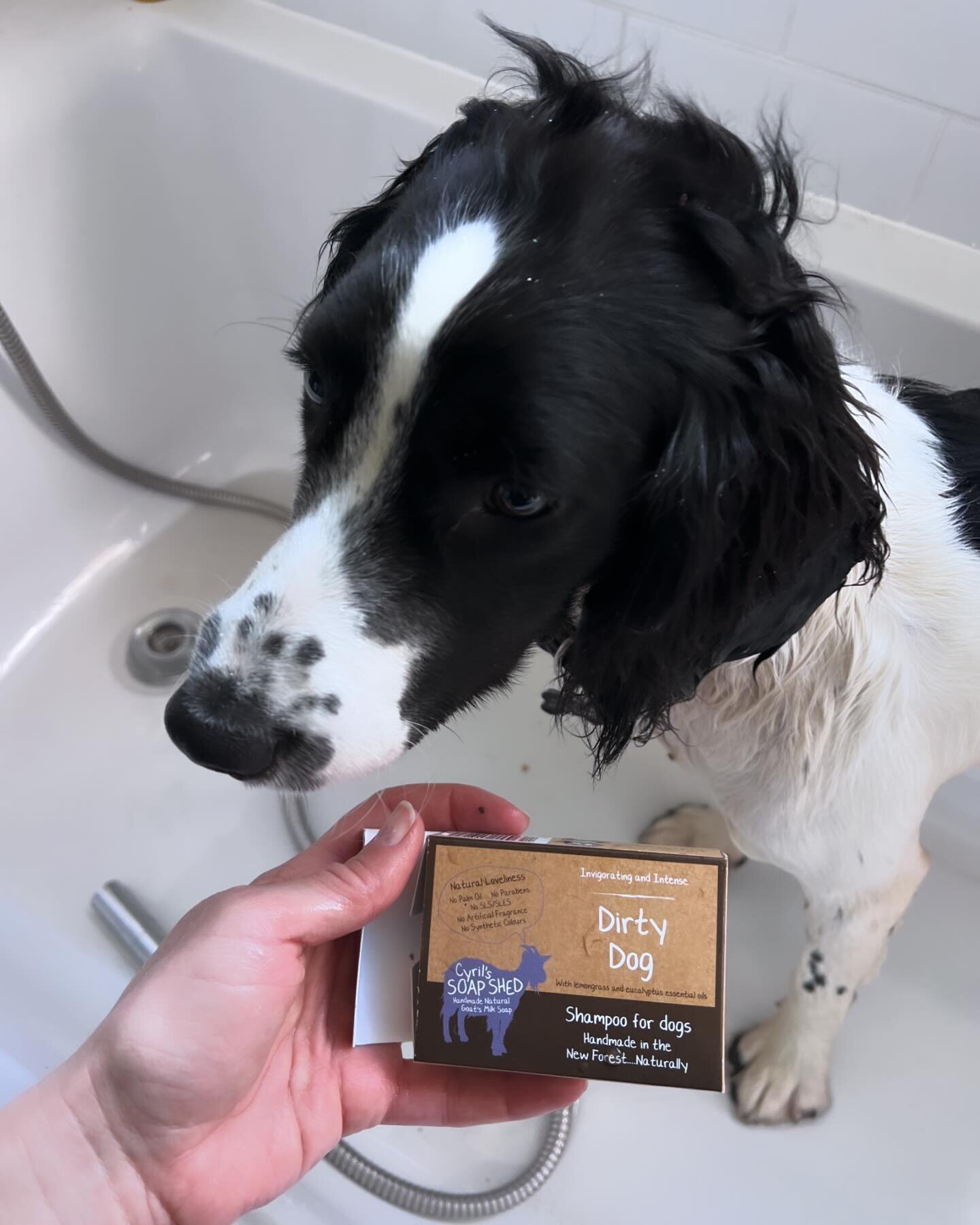 We stock all kinds of gifts and homeware including essentials like this natural goat soap for dogs as well as treats for our four legged family members. 

Pop in, we&rsquo;re open every day 10am-4pm near the main entrance to Bradgate Park in Newtown 