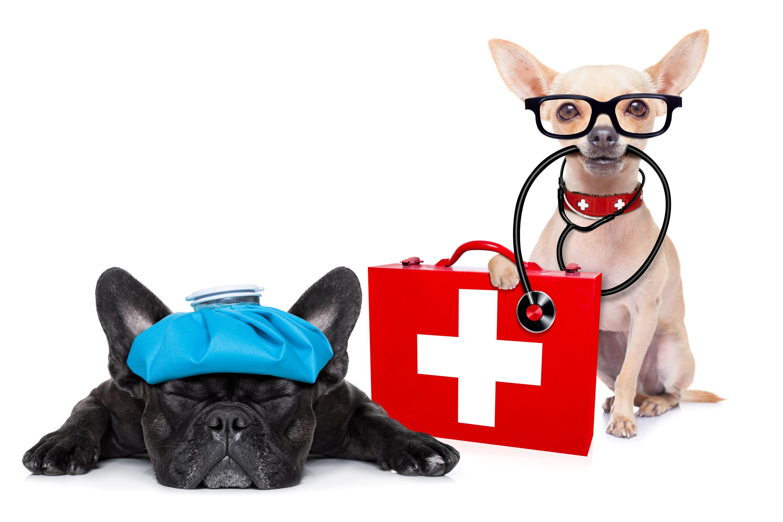 First Aid.jpg