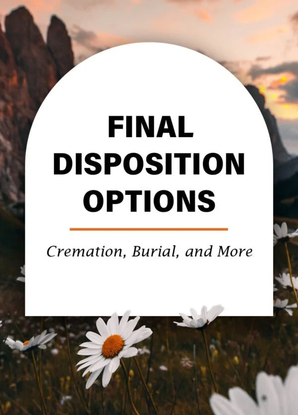 final dispositions.jpg