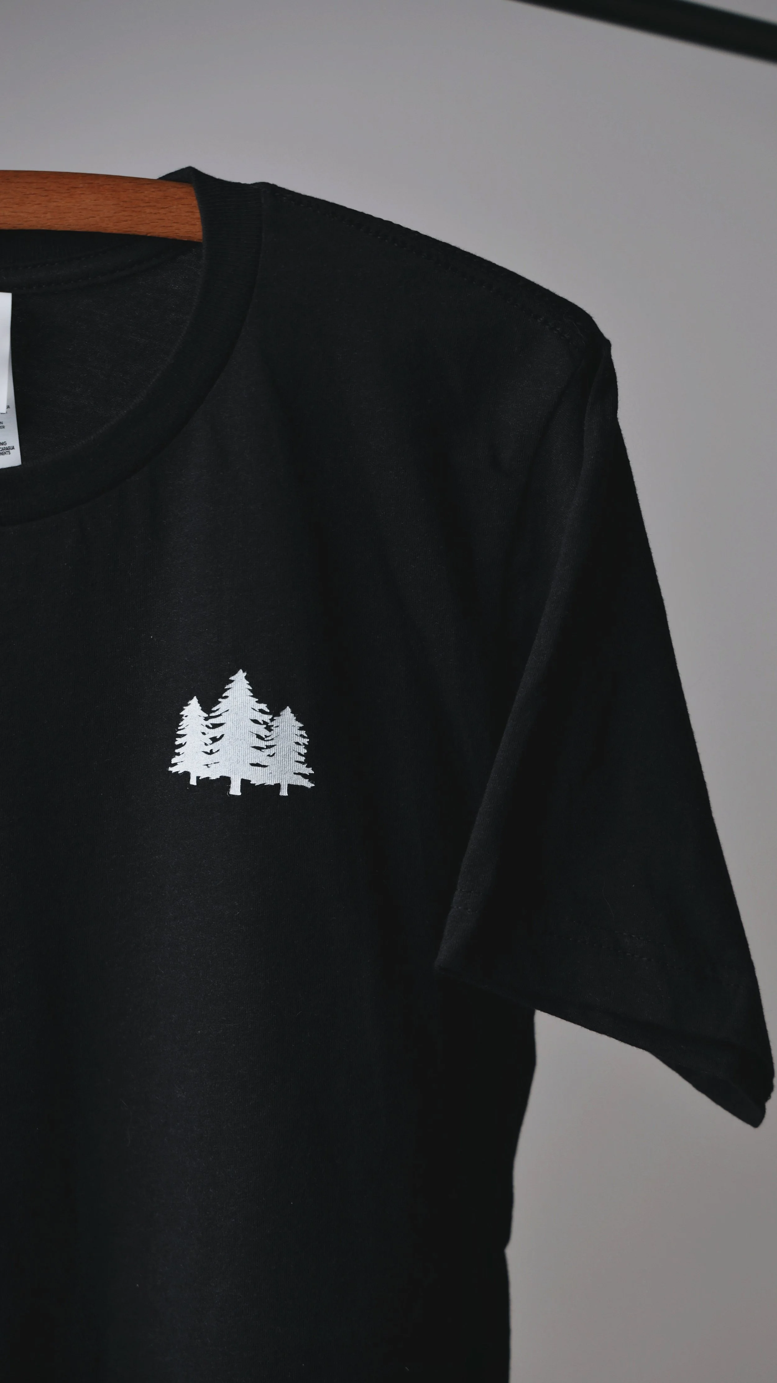 AfterlightImage 5.JPG