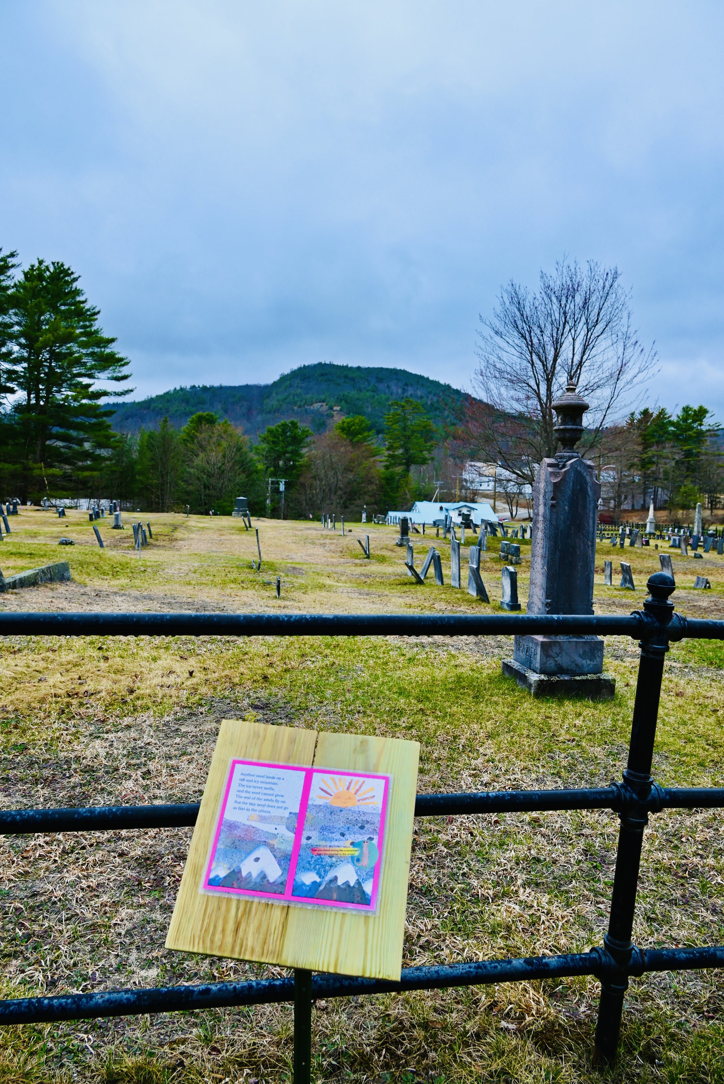 SML's first Story Walk was installed in the spring of 2025, just in time for Earth Day! Visitors enjoyed reading The Tiny Seed by Eric Carle while doing yoga poses along the way. The Story Walk was later reinstalled at Ingalls Pond for the summer.