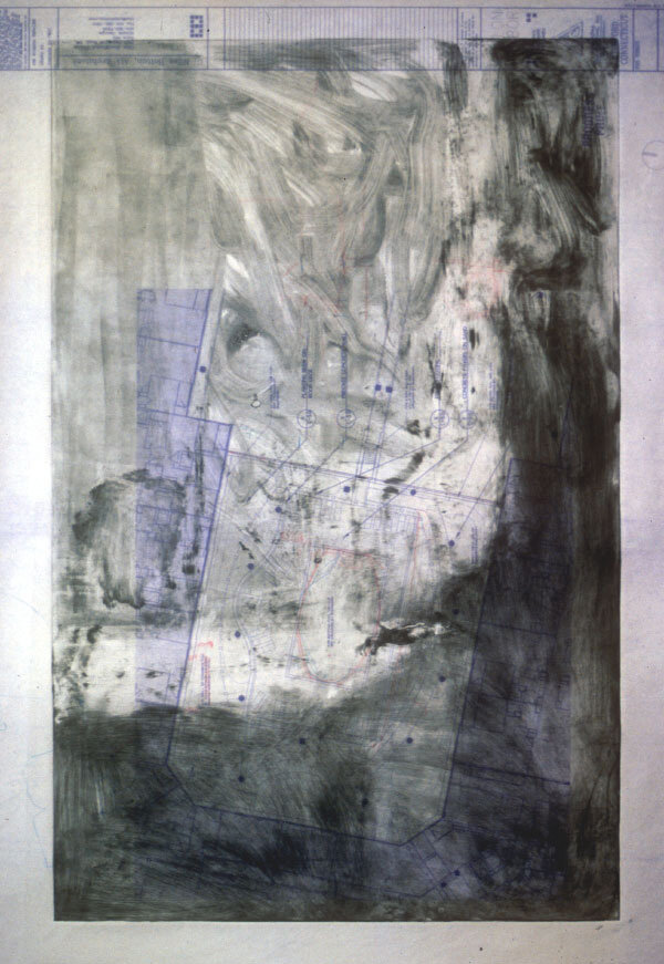 blueprint for a field series,VIII.jpg