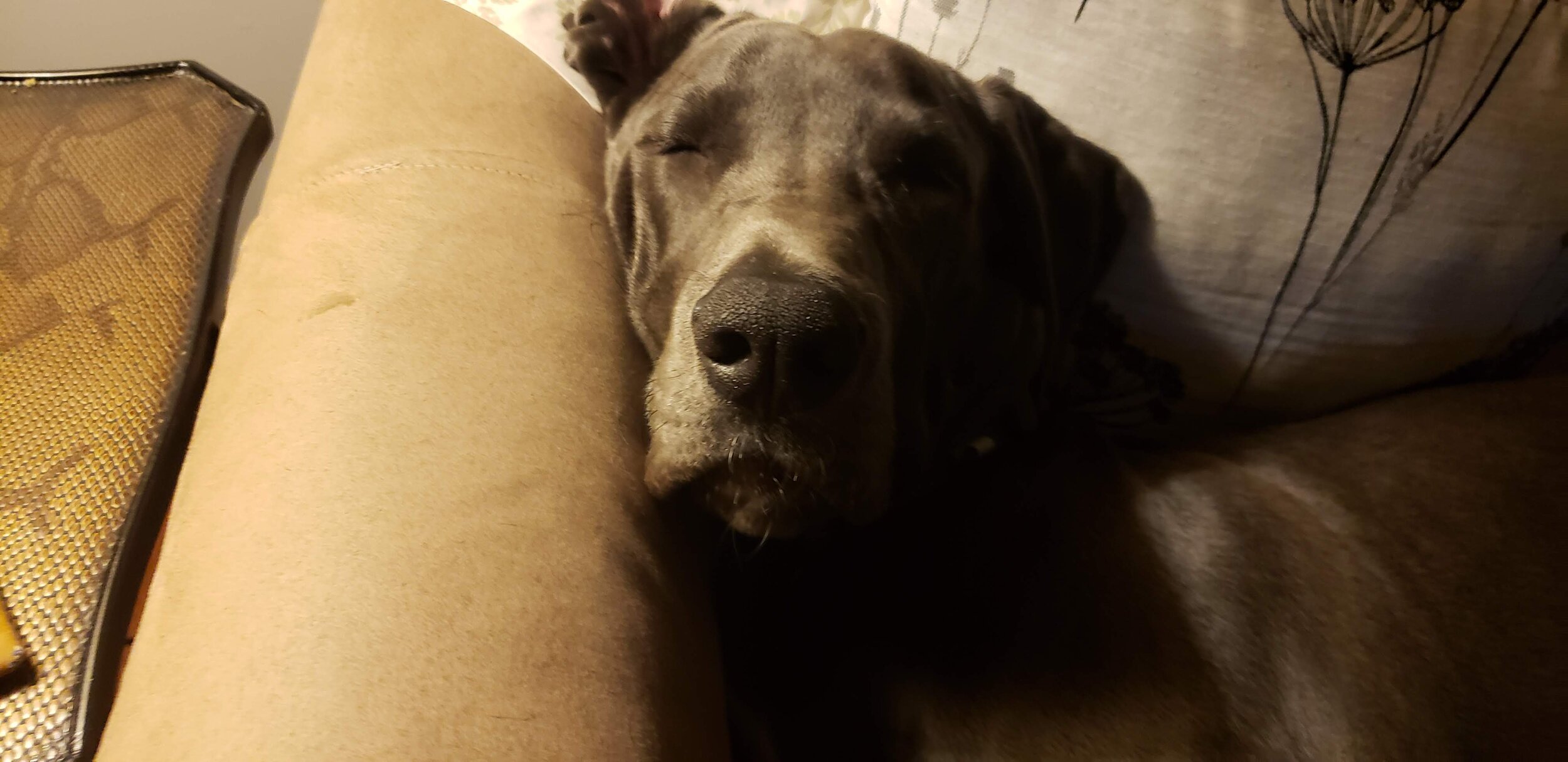 20201016_205223.jpg