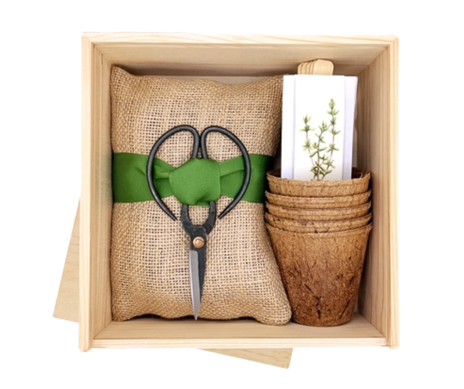 Herb Garden Grow Kit