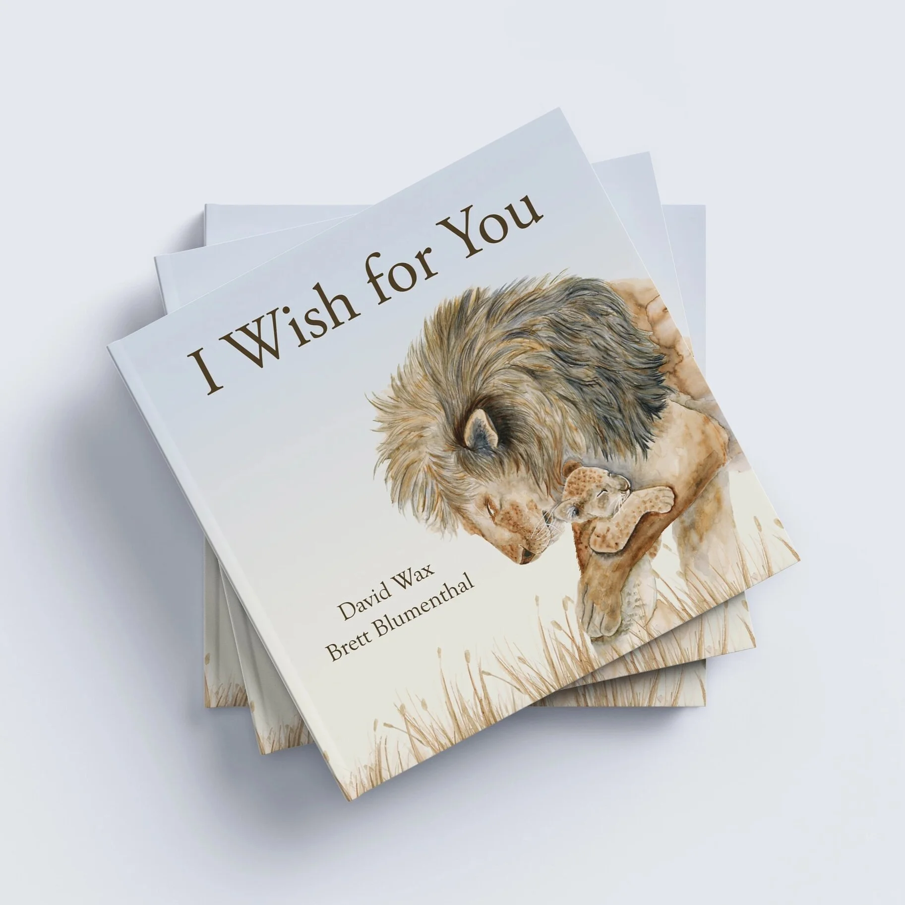 Tiny Toes Design I Wish For You Book.jpeg