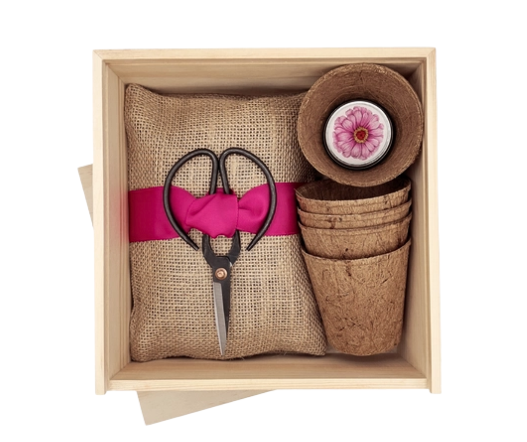 Zinnia Garden Grow Kit